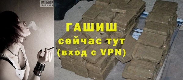 ECSTASY Горняк
