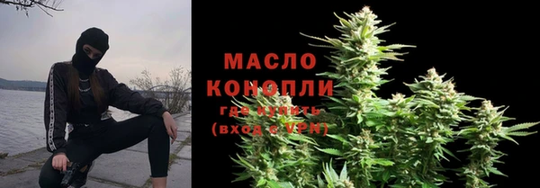 ECSTASY Горняк
