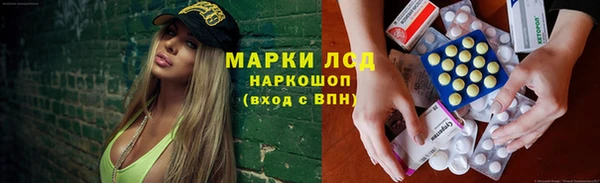 ECSTASY Горняк