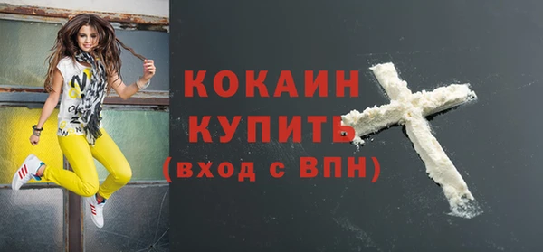 ECSTASY Горняк