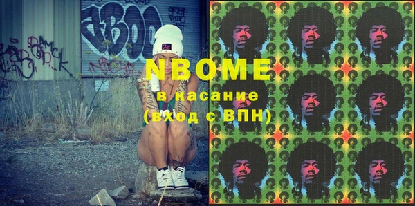 ECSTASY Горняк