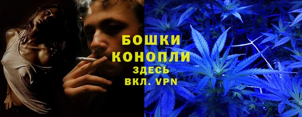 крисы Горнозаводск