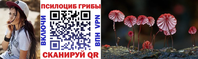 Галлюциногенные грибы Psilocybine cubensis Гусь-Хрустальный